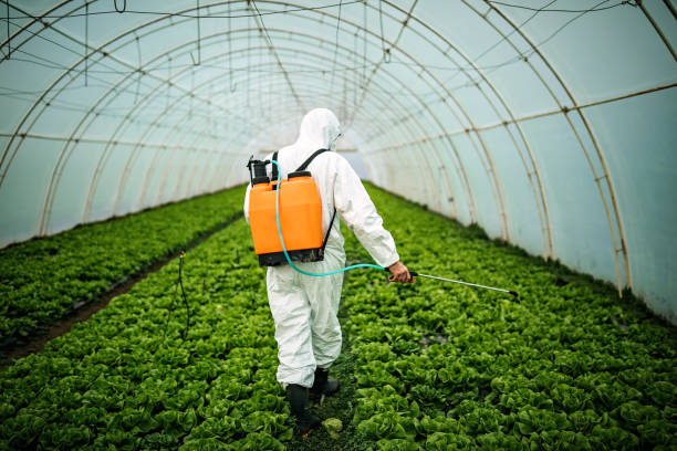 Best Commercial Pest Control Services  in Wilson Conococheague, MD