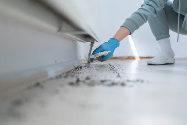 Flea Control Services in Wilson Conococheague, MD
