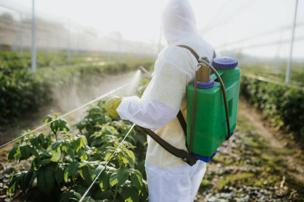 Best Residential Pest Control  in Wilson Conococheague, MD
